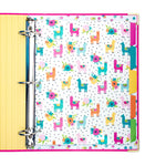 Color Wash 5-Subject Reversible Dividers