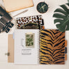 Wild B5 Hardcover Assorted Project Books - Pack of 2